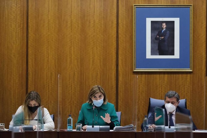 La consejera de Empleo, Formación y Trabajo Autónomo, Rocío Blanco, en comisión parlamentaria.