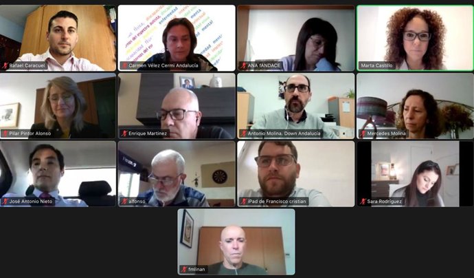 Reunión telemática entre representantes del PP-A y el Cermi.