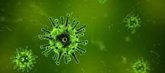 Foto: Investigadores del CIBEREHD evidencian el impacto de la pandemia por COVID-19 en el manejo del cáncer hepático