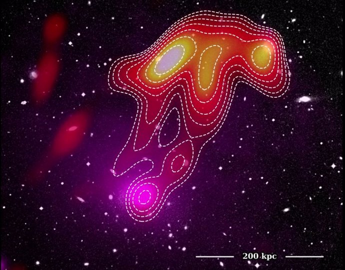 Una imagen compuesta del USS Jellyfish en Abell 2877 que muestra el Digitized Sky Survey óptico (fondo) con datos de rayos X XMM (superposición magenta) y datos de radio MWA 118 MHz (superposición rojo-amarillo).