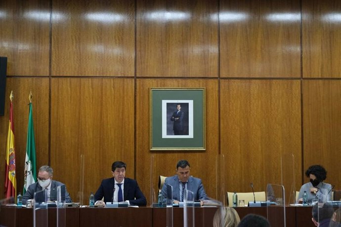 El vicepresidente de la Junta y consejero, Juan Marín, este jueves en comisión parlamentaria.