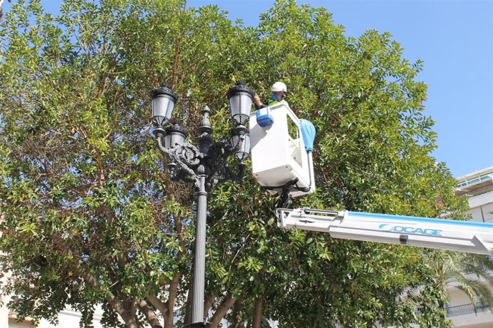 Trabajos de modernización del alumbrado en la plaza de Las Monjas.