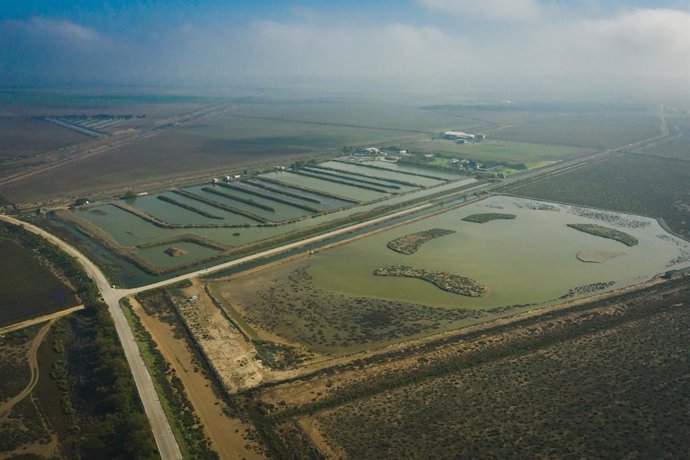 Imagen aérea de la marisma dentro del proyecto de recuperación de la biodiversidad en el estuario del Gualdaquivir.