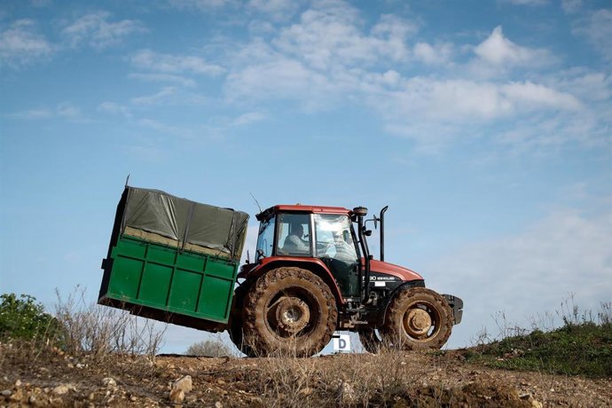 Archivo - Un tractor recoge las cajas de espárragos verdes que los jornaleros han recolectado en una plantación de Guadalajara durante el Estado de Alarma  