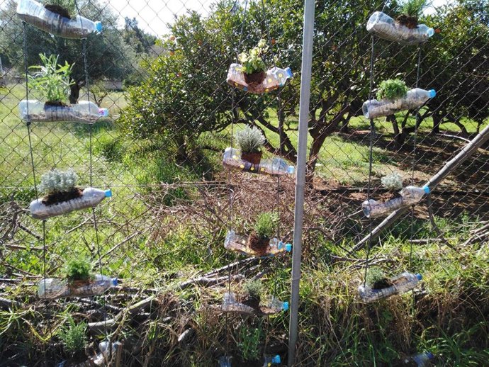 Un ejemplo de jardines verticales, uno de los temas que se tratarán en los talleres sobre conciencia ambiental que el Ayuntamiento de Palma ha organizado en varios centros educativos.