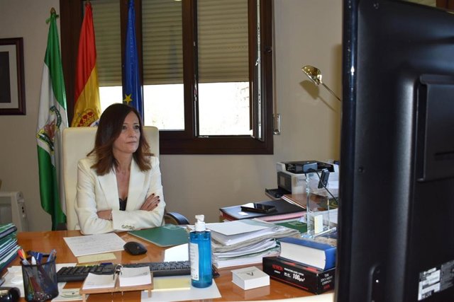 Maribel Lozano, en el seminario web sobre incentivos para la mejora de la eficiencia energética.