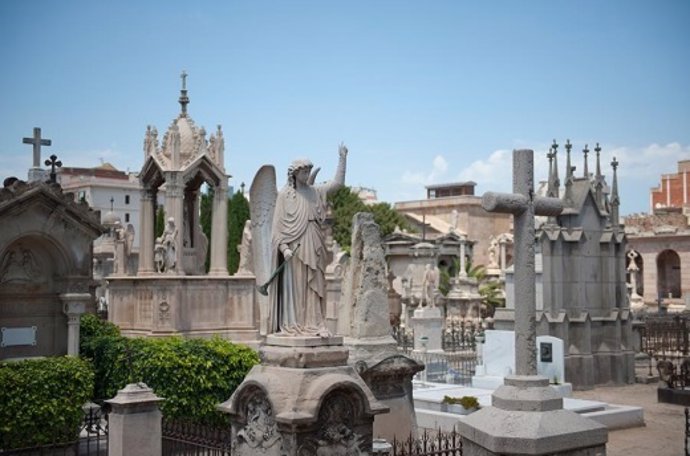 Barcelona estudia crear un cementiri per a animals de companyia a Collserola