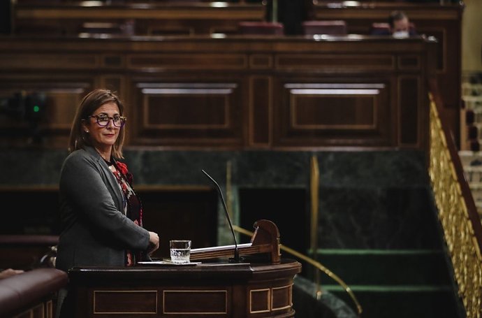 La diputada del PPRM en el Congreso de los Diputados, Isabel Borrego