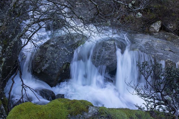 Archivo - Un detalle de un tramo en la cuenca alta del Río Manzanares, en la Sierra de Guadarrama.