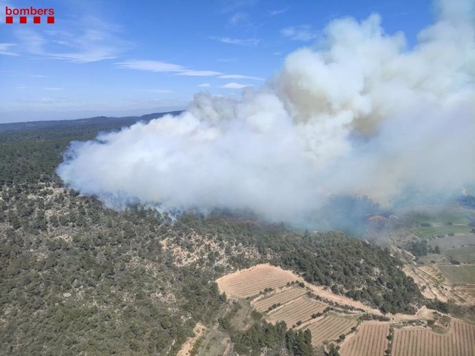 Fuego en la Sierra de Senan, en la comarca de Conca de Barber en Tarragona.
