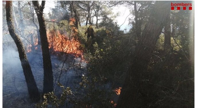 Un incendi forestal en la serra de Senan de Tarragona