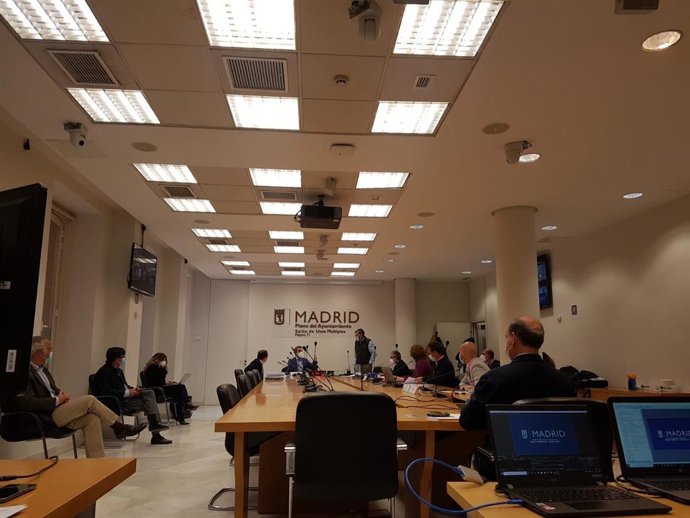 Comisión de Medio Ambiente del Ayuntamiento de Madrid