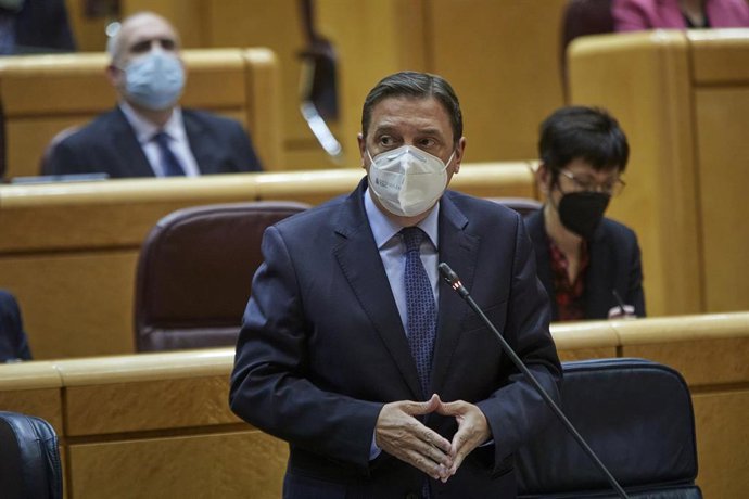 Archivo - El ministro de Agricultura, Pesca y Alimentación, Luis Planas