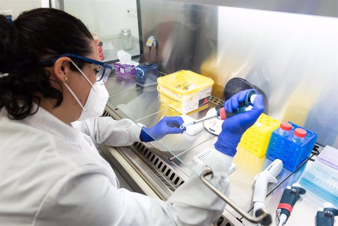 Análisis de pruebas PCR en laboratorio