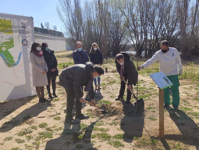 El alcalde de Salamanca y el gerente del hospital de Salamanca plantan el primer olmo del 'Bosque de los Sanitarios'.