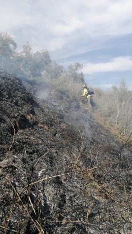 Bombero forestal actuando sobre el terreno