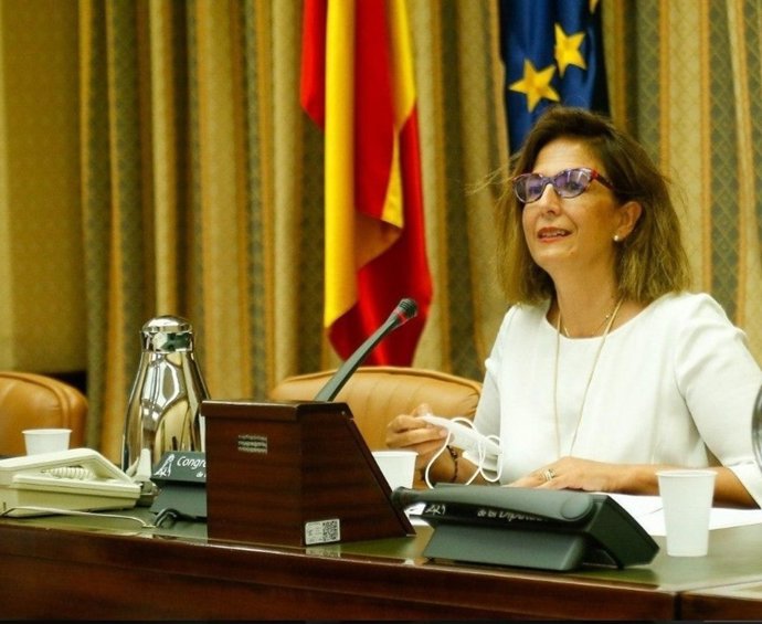 La diputada nacional del PP, Isabel Borrego