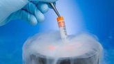 Foto: Cuándo es recomendable congelar todos los embriones en la fecundación 'in vitro'