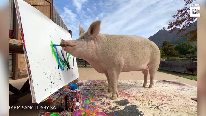 Pigcasso, el cerdo que pinta cuadros, hace un retrato abstracto del Príncipe Harry