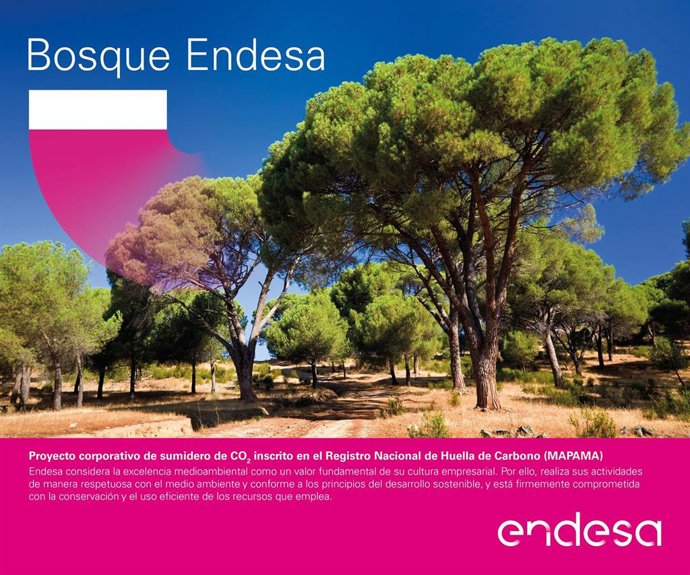 Endesa restaura 40.000 árboles en su iniciativa 'Bosque Endesa'