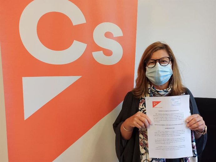 La diputada Carmen Santa María, con la moción