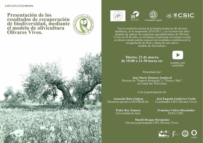 'Olivares Vivos' Demuestra La Importancia Del Olivar Para La Conservación De La Biodiversidad En Europa