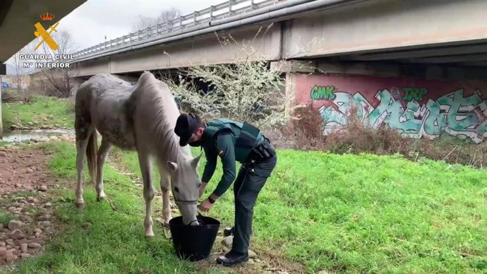 Vídeo de la noticia
