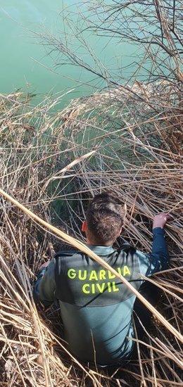 Guardias civiles rescatan a una persona atrapada en el río Tajo cuando intentó salvar a su perro