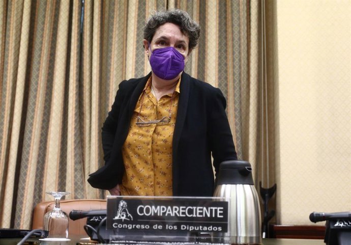 La directora del Instituto de las Mujeres, Beatriz Gimeno, en el Congreso