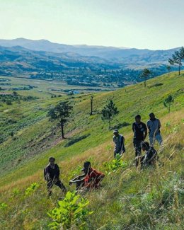 Una plantación en África