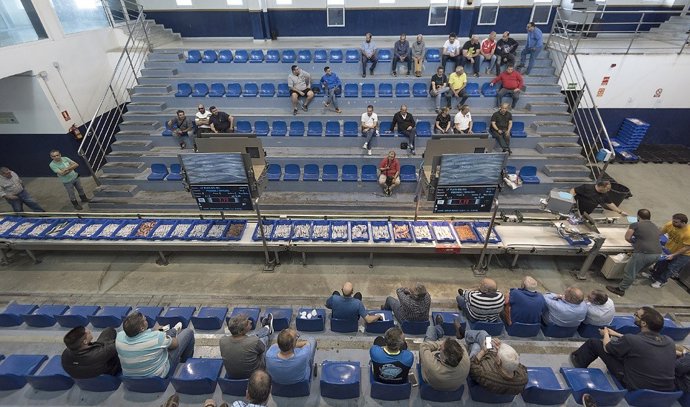 Una subasta de pescado en la lonja de Almería.