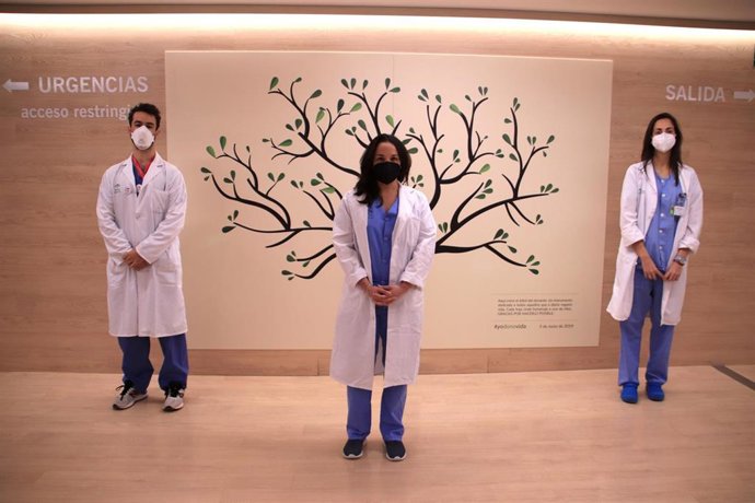 Componentes de la Unidad de Trasplantes de Hospital Virgen Macarena