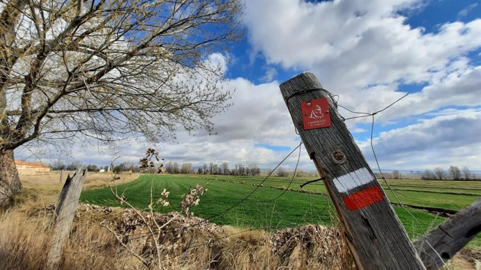 Un poste de señalización del Camino del Cid.