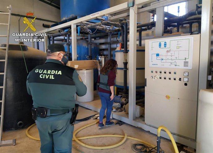 Los agentes de la Guardia Civil, en una de las plantas intervenidas
