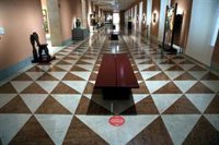 El Gobierno renueva la garantía de las obras de la baronesa Thyssen aún sin incluir el 'Mata Mua'