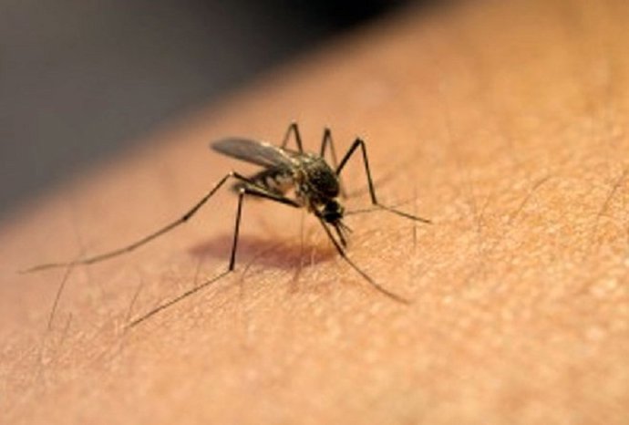 [Badajoz] Nota De Prensa Desarrollo Rural Plan Control Mosquitos