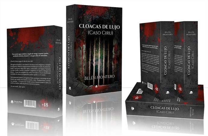 Portada de la novela 