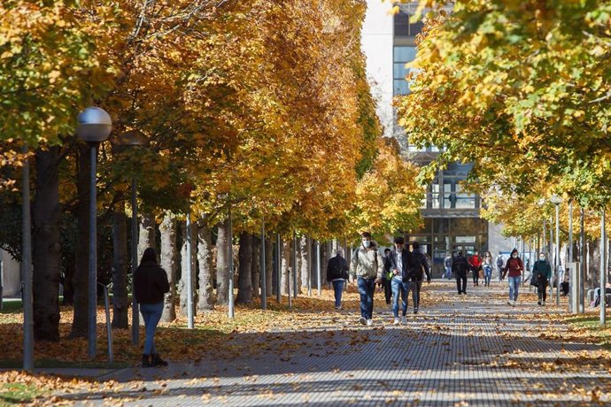 Archivo - Estudiantes en la UPNA.