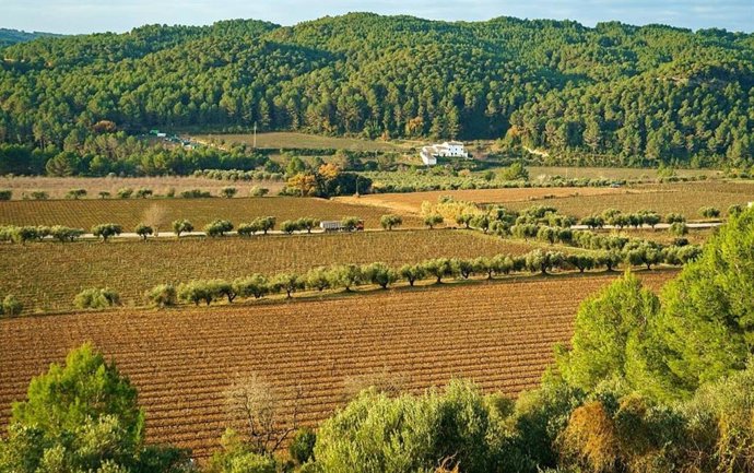 La Diputación de Barcelona alerta de la pérdida de suelo agrario en la provincia