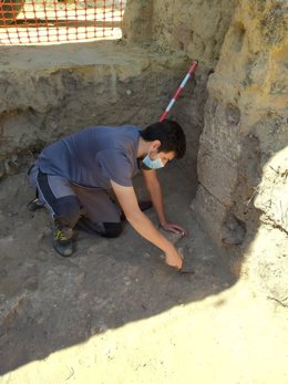 Limpieza en la Alcazaba de Alcalá de Guadaíra (Sevilla).
