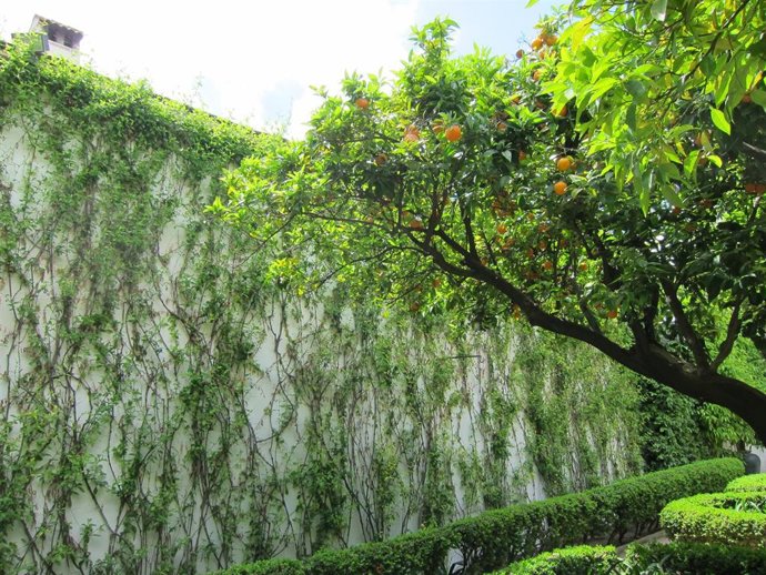 Archivo - Uno de los patios del Palacio de Viana.