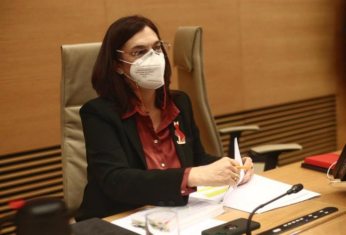 Archivo - La presidenta de la CNMC (Comisión Nacional de los Mercados y la Competencia), Cani Fernández, durante una Comisión del Congreso