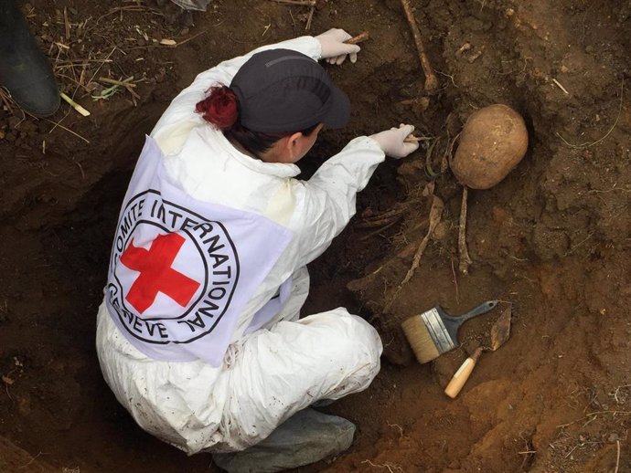 Archivo - Trabajos de exhumación de víctimas del conflicto armado en el Valle del Cauca, Colombia.