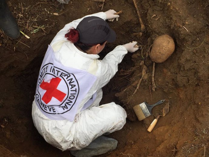 Archivo - Trabajos de exhumación de víctimas del conflicto armado en el Valle del Cauca, Colombia