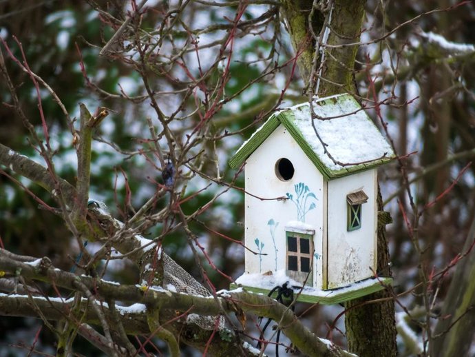 Archivo - La naturaleza tiene un poder de sanación que contribuye a nuestro bienestar físico y emocional