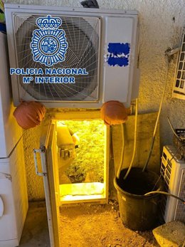 Acceso a una plantación de marihuana oculta tras la puerta de un frigorífico