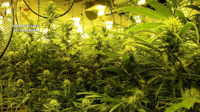 Nota De Prensa Guardia Civil Comandancia De Toledo