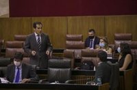 PP-A valora la contribución de Cs y Vox al "modelo andaluz" y sugiere a Susana Díaz despedirse "defendiendo Andalucía"