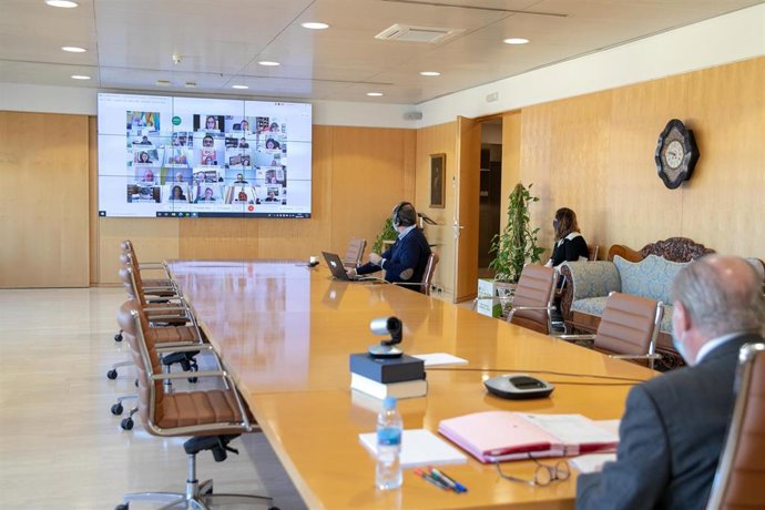 Imagen del Pleno telemático de la Diputación de Sevilla