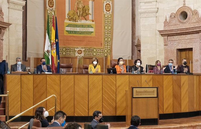 Imagen del Pleno del Parlamento de Andalucía.